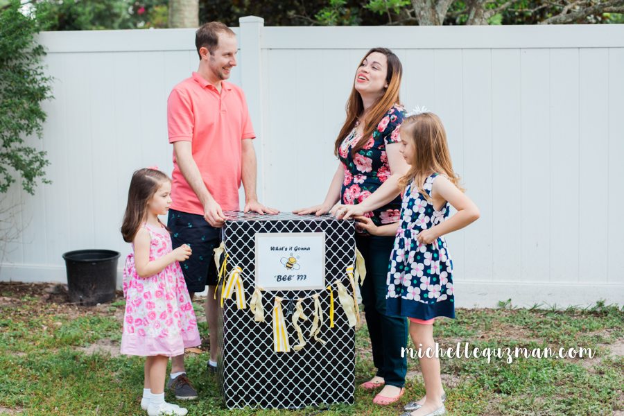 Baby Gender Reveal Party