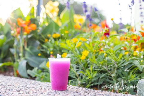 Blog | Michelle Guzman Photographer